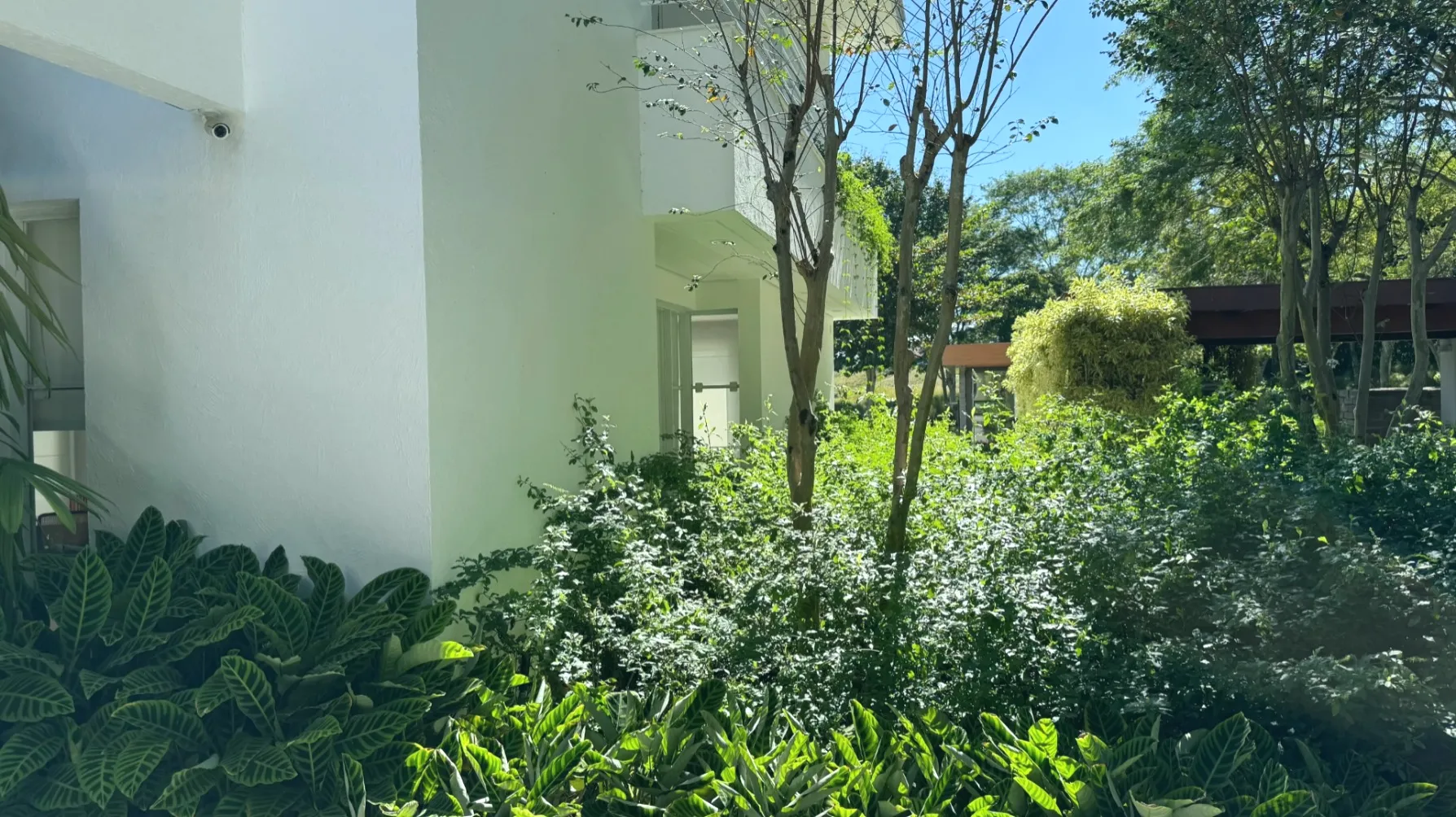 galeria
